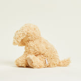 Chien bouclé bouillotte Warmies