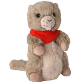 Marmotte bouillotte Warmies