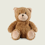 Bouillotte peluche ours teddy 