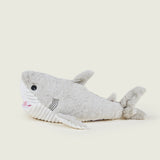Requin bouillotte gris et blanc de profils 