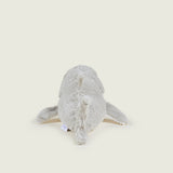 Requin bouillotte gris et blanc 