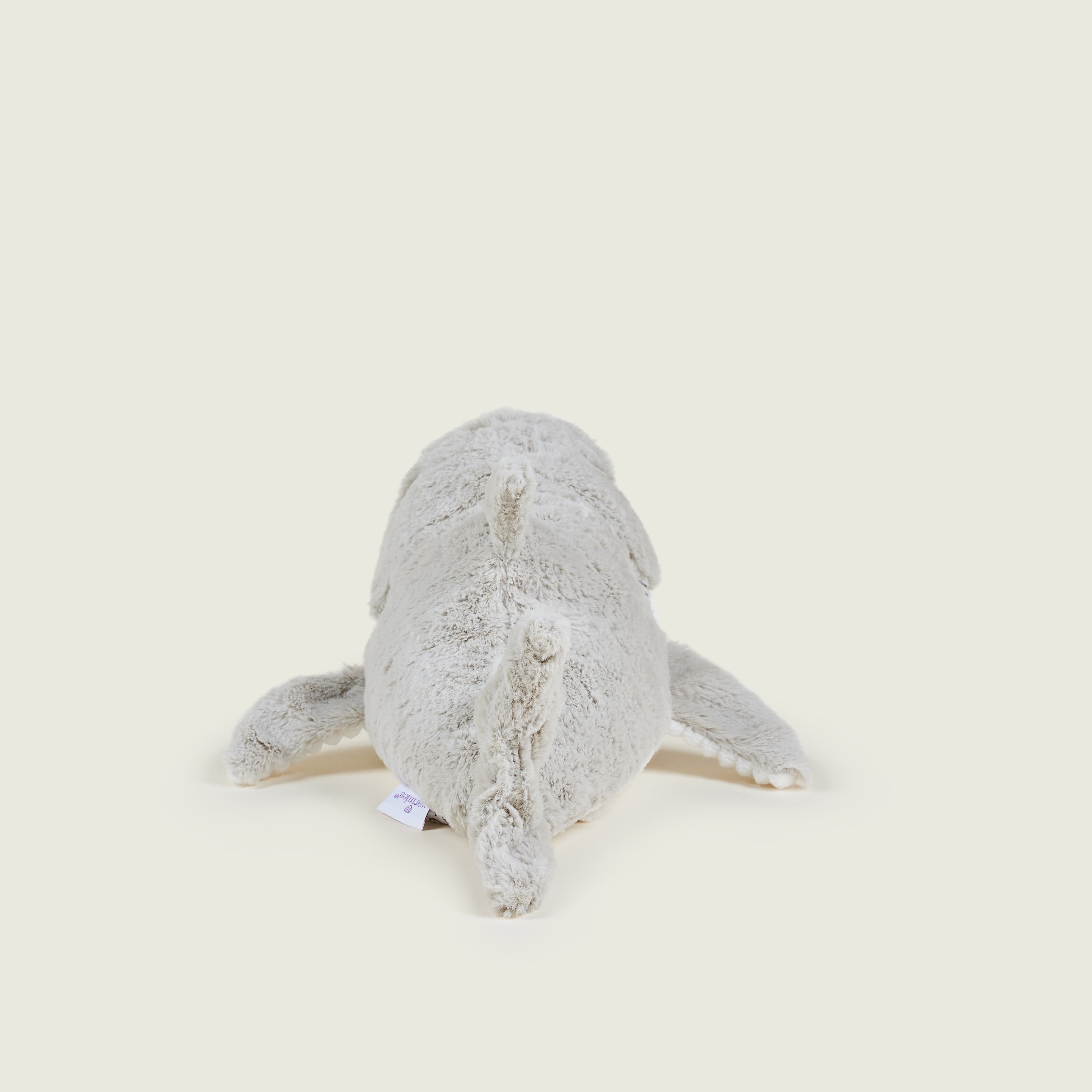 Requin bouillotte gris et blanc 