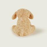 Chien bouclé bouillotte Warmies