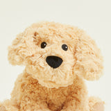 Chien bouclé bouillotte Warmies