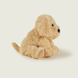 Chien bouclé bouillotte Warmies