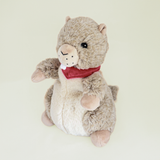 Marmotte bouillotte Warmies