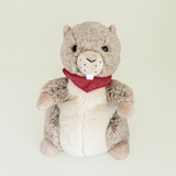 Marmotte bouillotte Warmies